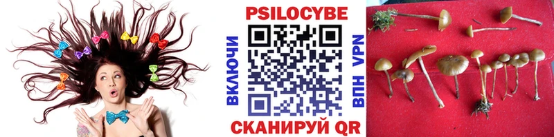 Галлюциногенные грибы Psilocybine cubensis Мариинский Посад