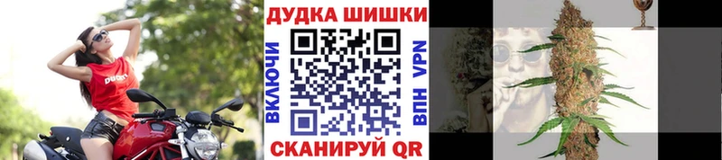 Бошки Шишки ГИДРОПОН  Мариинский Посад 